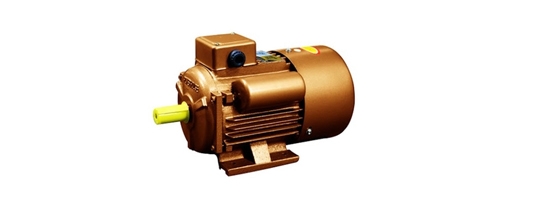 Powerhouse Electric Motor (1.5HP)