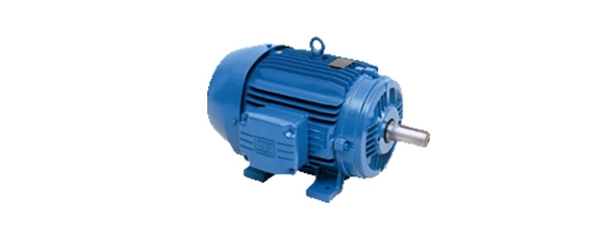 Weg Three-Phase Motor (TEFC) -2HP